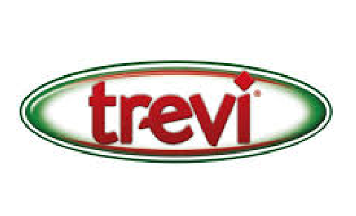 trevi